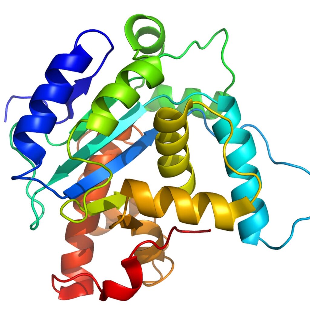 Antigens/Proteins and Detection Assays